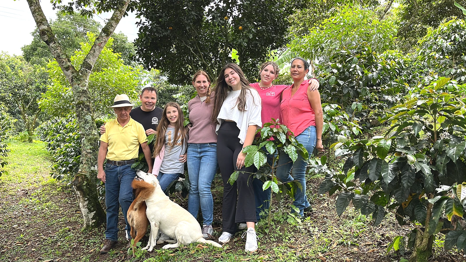 Coffee farm Finca Casa Blanca in Santander, Colombia